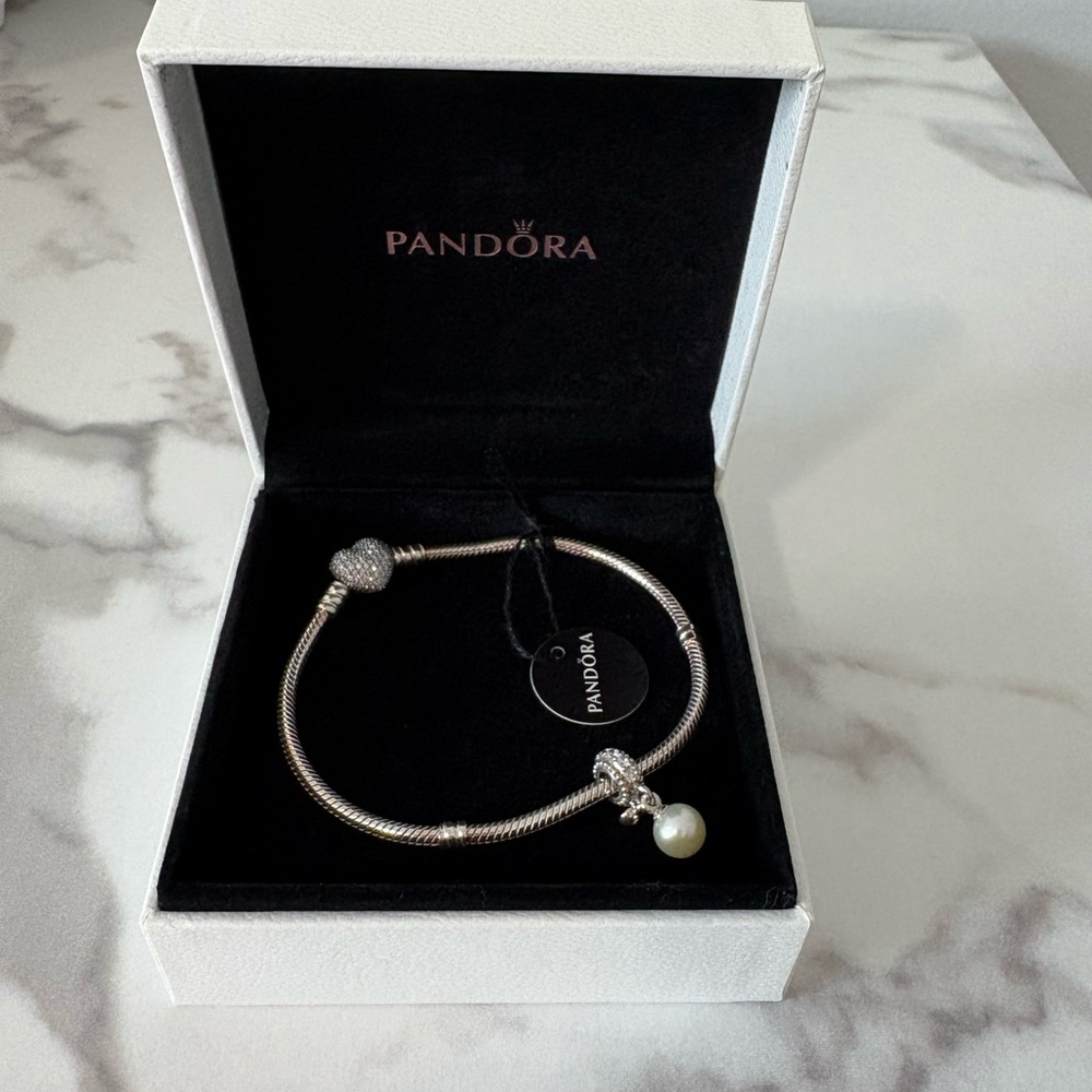 Pandora Moments Sparkling Heart & Snake Chain Bracelet NEW